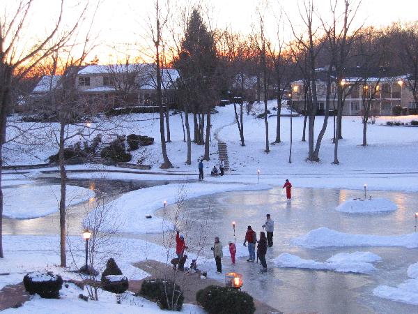 Panorama of Skating Area